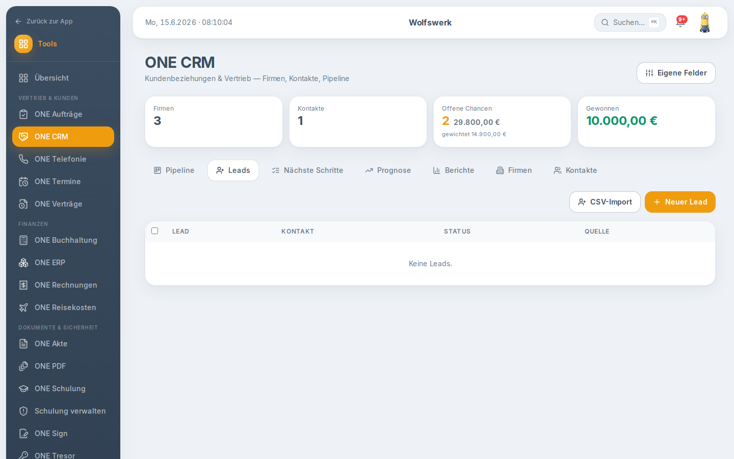Leads in crm
